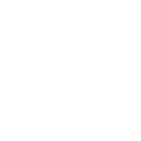 Leitinger