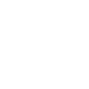Promberger & Partner