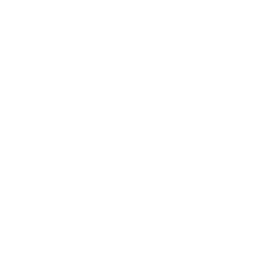 Elektro Steib