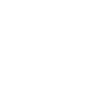ESB Energie