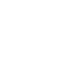 Hofmann Auto
